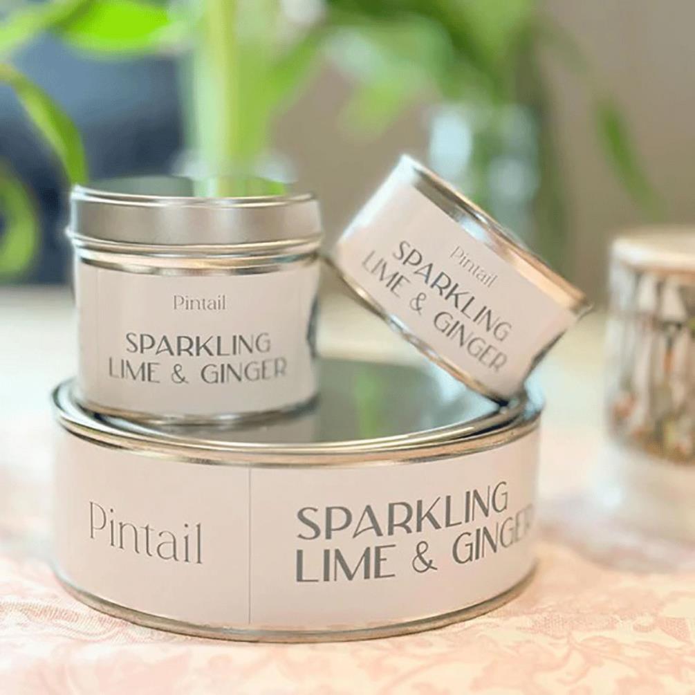 Pintail Candles Sparkling Lime & Ginger Paint Pot Candle Extra Image 3